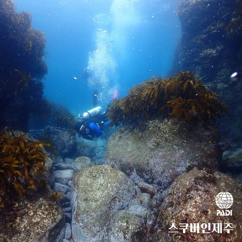 제주도스쿠버다이빙어드밴스