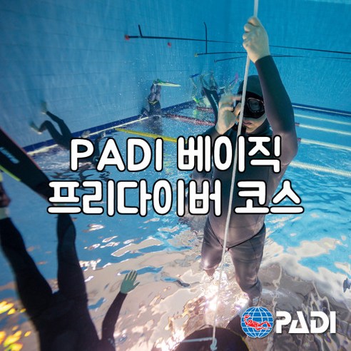 프리다이빙padi