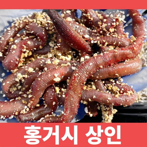 염장혼무시